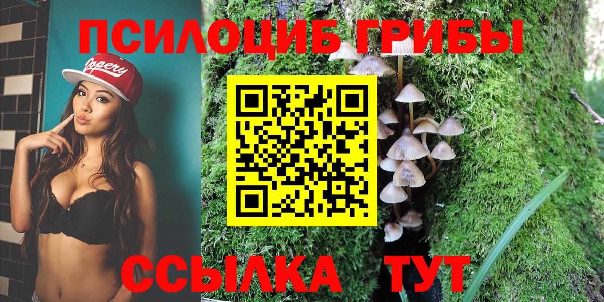 Томск  Галлюциногенные грибы Magic Shrooms  Вход с VPN 