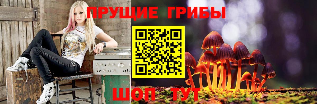 Псилоцибиновые грибы мицелий Томск